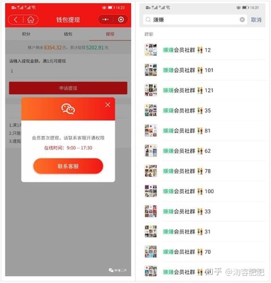 淘客進(jìn)階 公眾號(hào)返利從入門到精通，社群淘客的深度運(yùn)營(yíng)之道